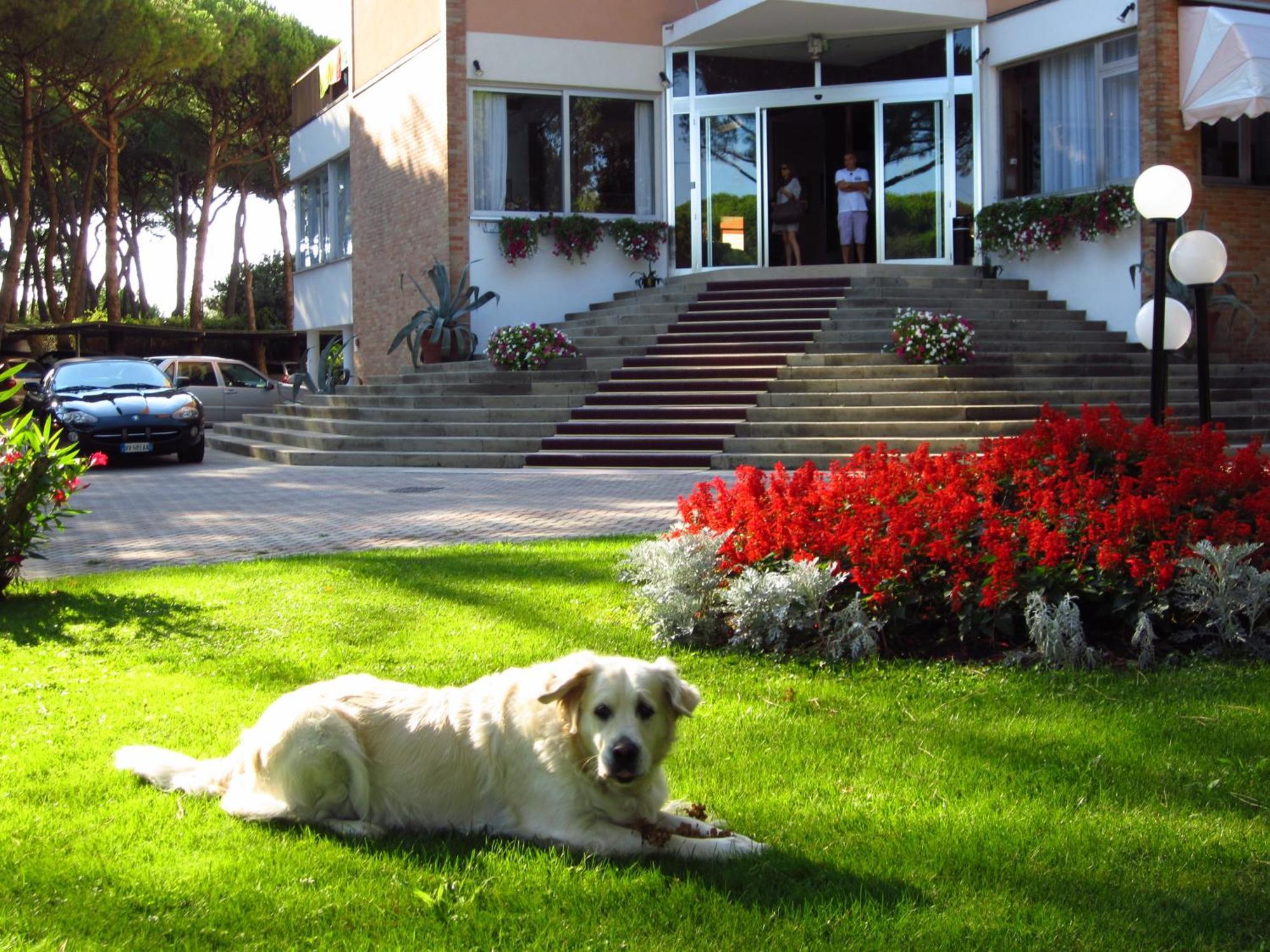 Hotel Beau Rivage Pineta Lido di Jesolo Buitenkant foto